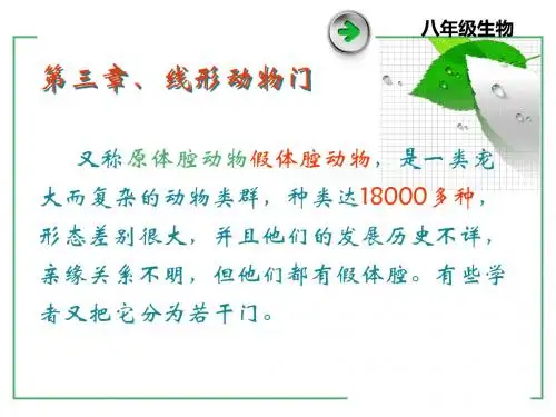 线形动物ppt