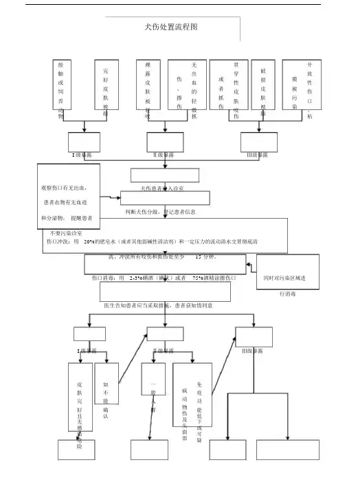犬伤处置流程图.doc