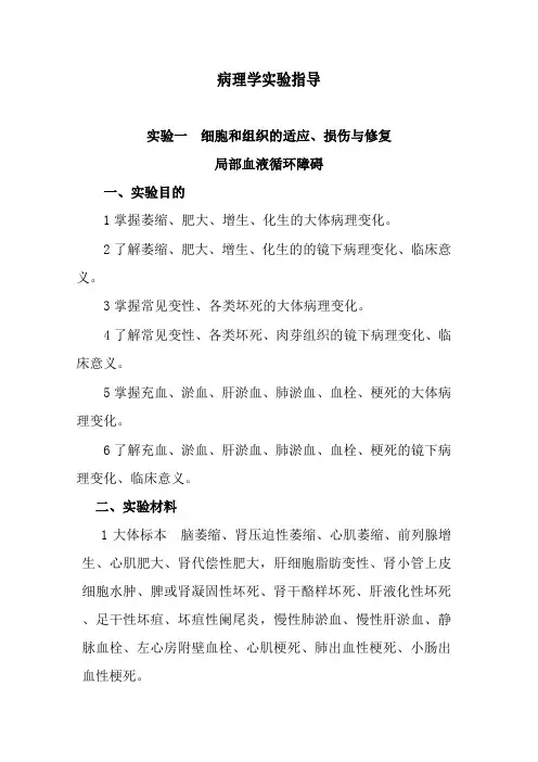 医学影像技术《医学技术专业群病理学实验指导》
