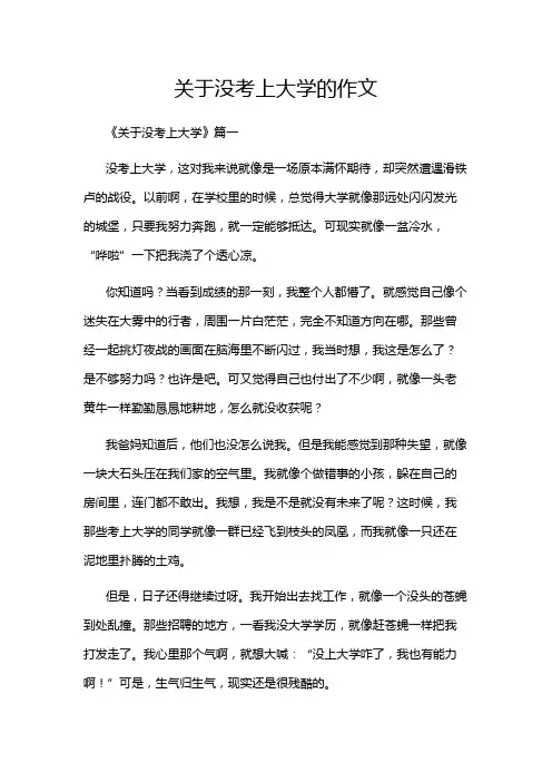 关于没考上大学的作文