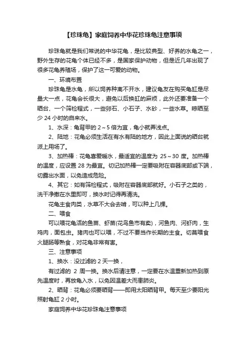 【珍珠龟】家庭饲养中华花珍珠龟注意事项