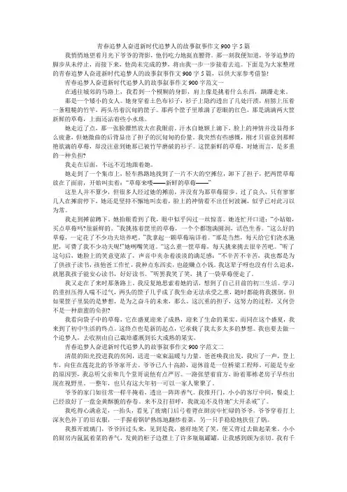 青春追梦人奋进新时代追梦人的故事叙事作文900字5篇