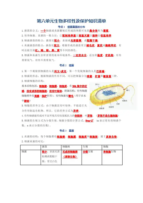 第四单元 细菌、真菌、病毒-八年级生物上册单元复习知识清单