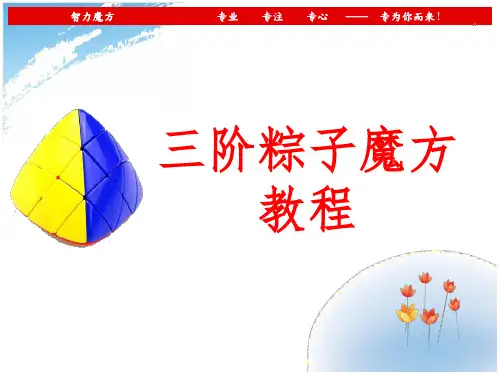 三阶粽子魔方教程