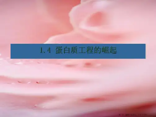 高中生物 第一章,第三节。蛋白质工程的崛起课件 新人教版选修3