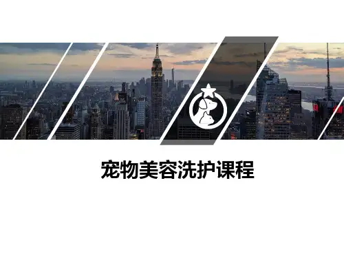 宠物洗护美容课件