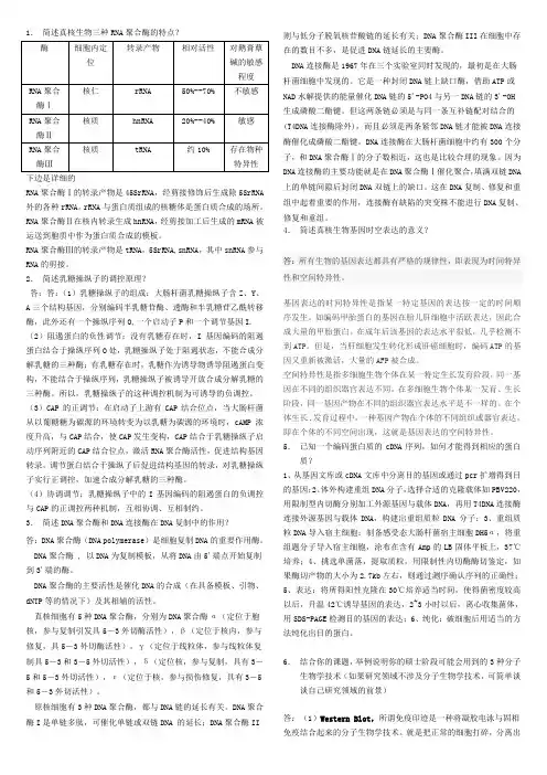 真核生物三种RNA聚合酶的特点