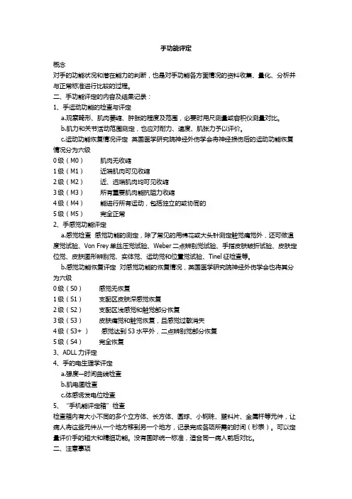 手功能评定