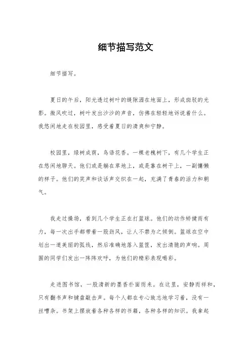 细节描写范文