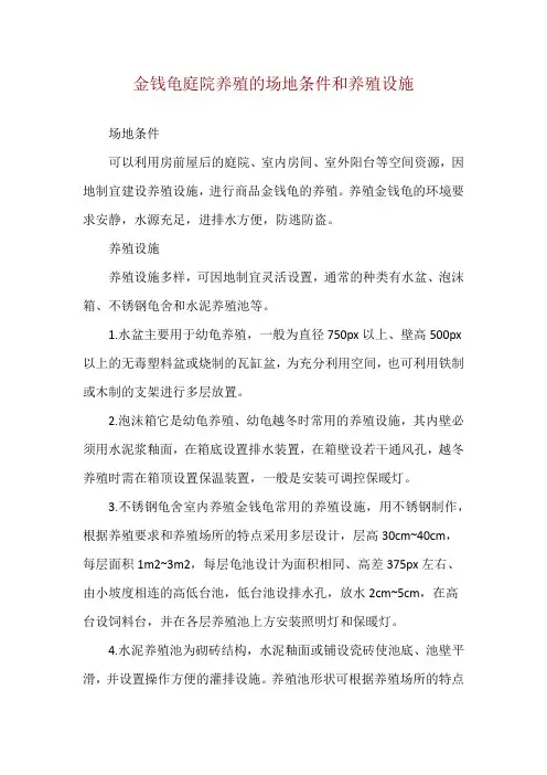 金钱龟庭院养殖的场地条件和养殖设施