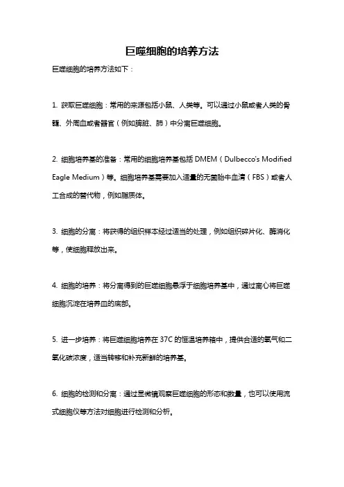 巨噬细胞的培养方法