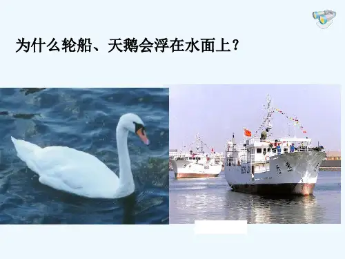 第十章第一节浮力ppt课件