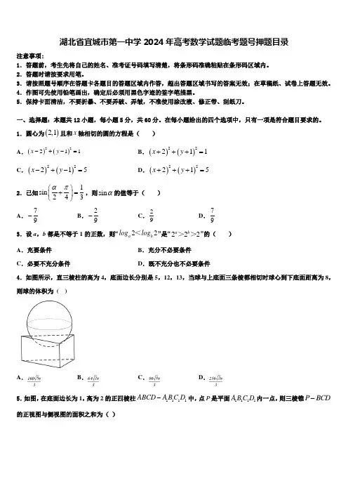 湖北省宜城市第一中学2024年高考数学试题临考题号押题目录