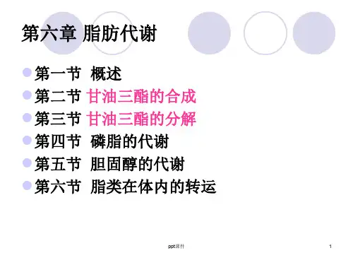 生物化学——脂代谢  ppt课件