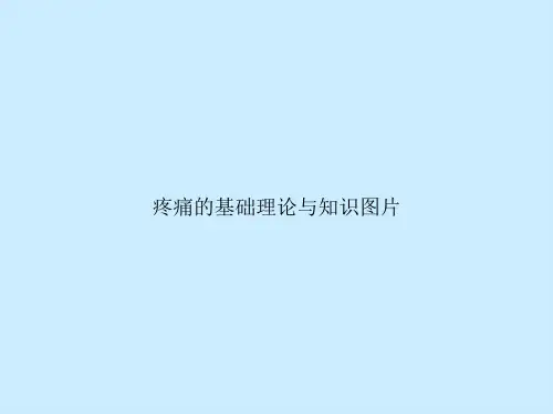 疼痛的基础理论与知识图片
