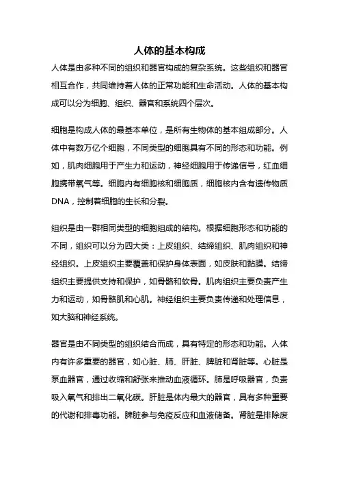 人体的基本构成