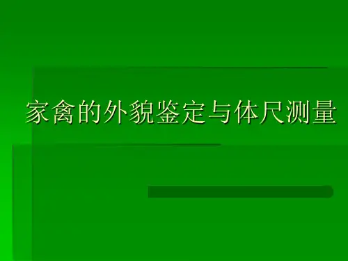 [农学]家禽的外貌鉴定与体尺测量