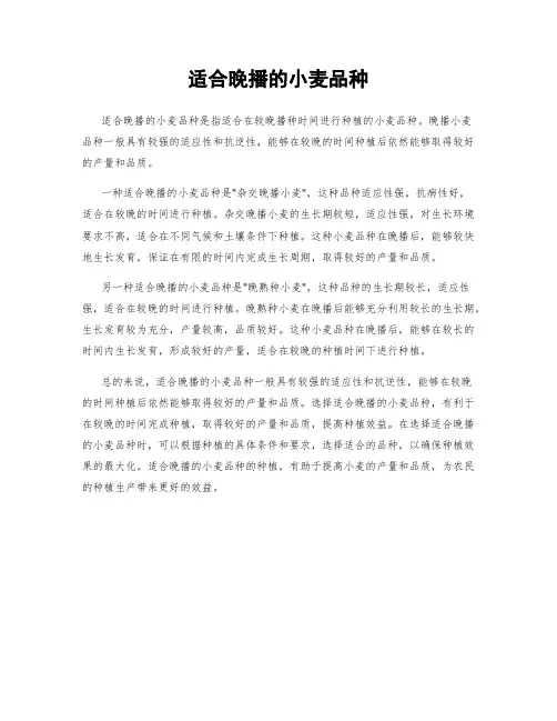 适合晚播的小麦品种