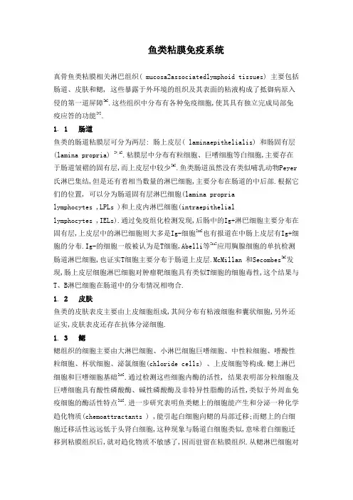 鱼类粘膜免疫系统