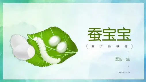 养殖蚕教程PPT课件25页(定稿版)