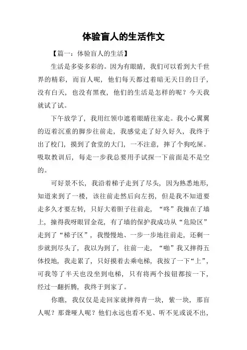 体验盲人的生活作文