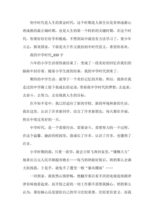 作文我的初中时代精选范文