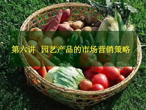 园艺产品的市场营销策略讲义课件(ppt 84页)