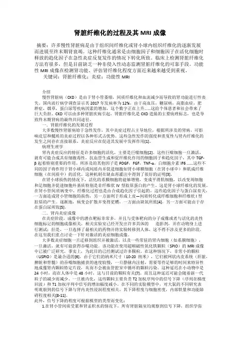 肾脏纤维化的过程及其MRI成像