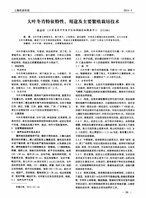 大叶冬青特征特性、用途及主要繁殖栽培技术