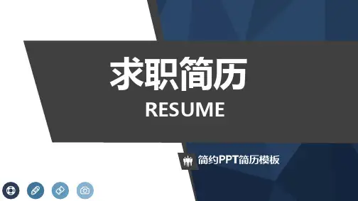 求职、竞聘、简历PPT模板 (3)