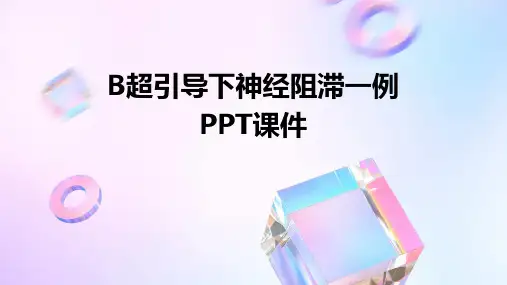 b超引导下神经阻滞一例ppt课件