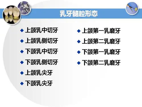 牙体解剖生理 牙体髓腔形态 乳牙髓腔形态