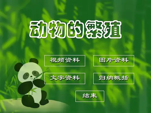 动物繁殖的图片和视频资料课件