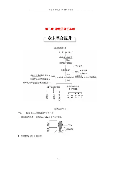 高中生物第三章章末整合提升教学案浙科版必修3