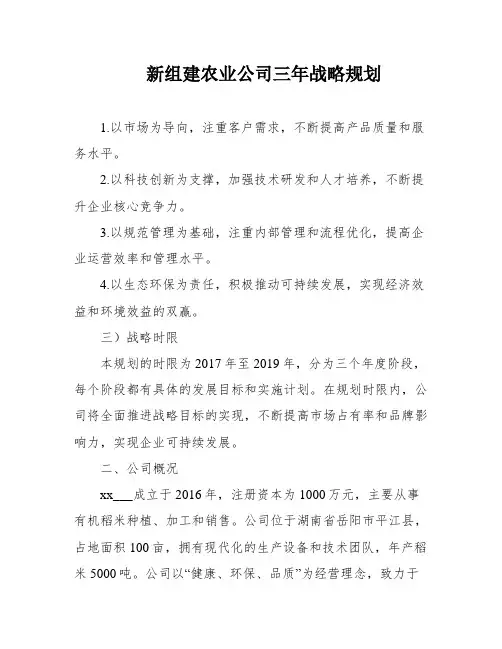 新组建农业公司三年战略规划