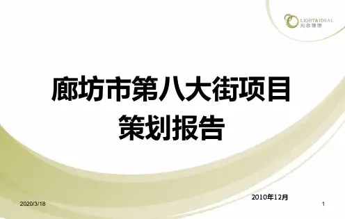 廊坊第八大街项目策划报告PPT课件