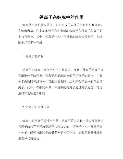 钙离子在细胞中的作用