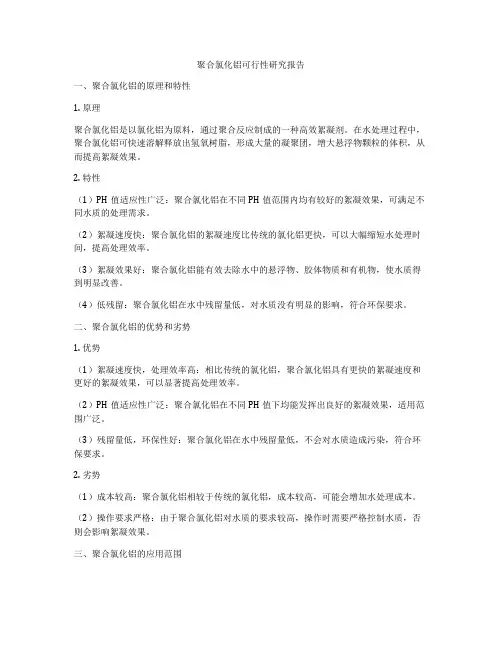 聚合氯化铝可行性研究报告