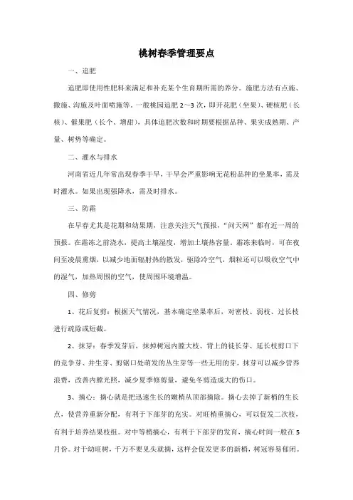 桃树春季管理要点