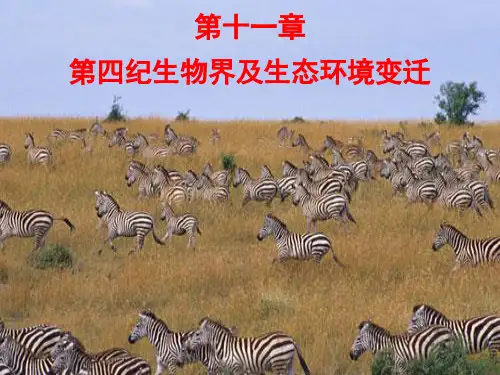 第四纪生物界及生态环境变迁v3