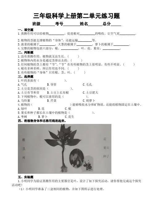 小学科学青岛版六三制三年级上册第二单元《植物的生活》练习题1(附参考答案)(2022秋)