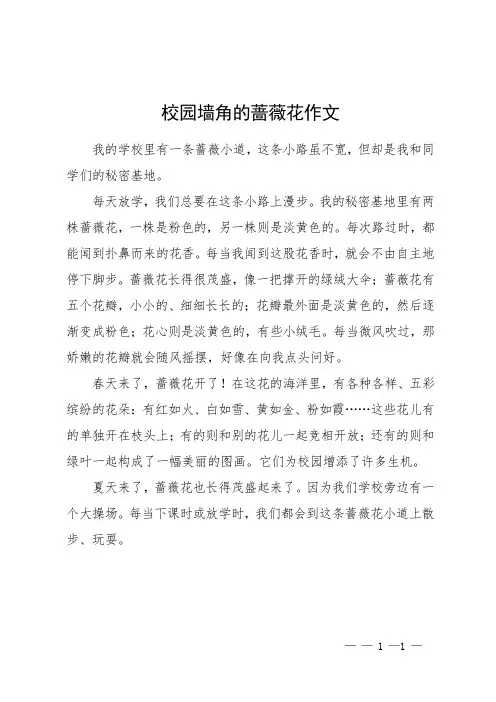 校园墙角的蔷薇花作文