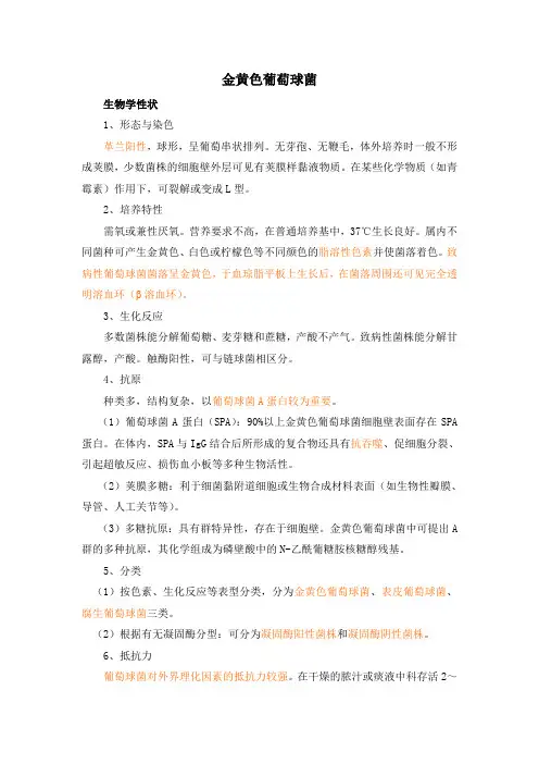 金黄色葡萄球菌