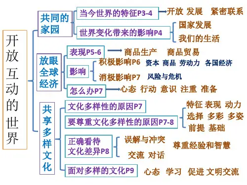 人教版《道德与法治》九年级下第一课思维导图