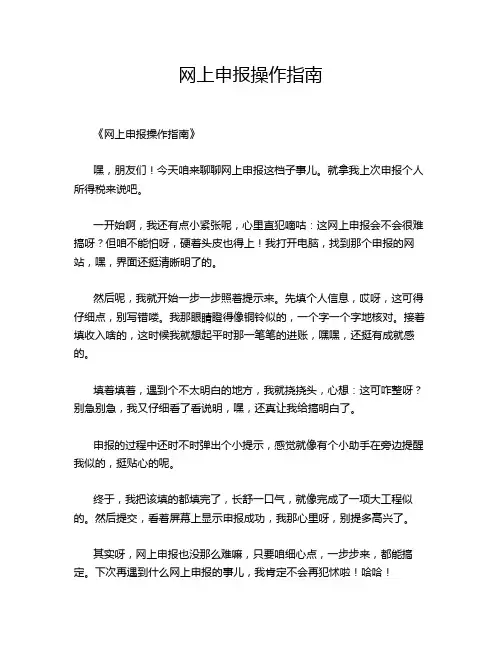 网上申报操作指南