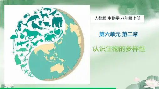6.2 认识生物的多样性 课件(共25张PPT)人教版生物八年级上册