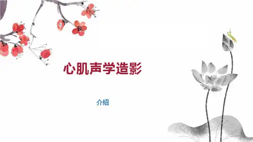 心肌声学造影