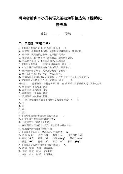 河南省新乡市小升初语文基础知识精选集(最新版)精英版
