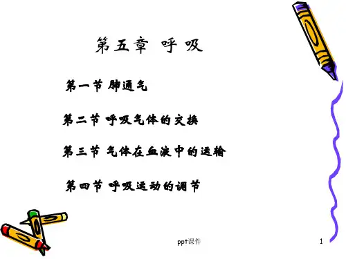 《生理学》呼吸 ppt课件