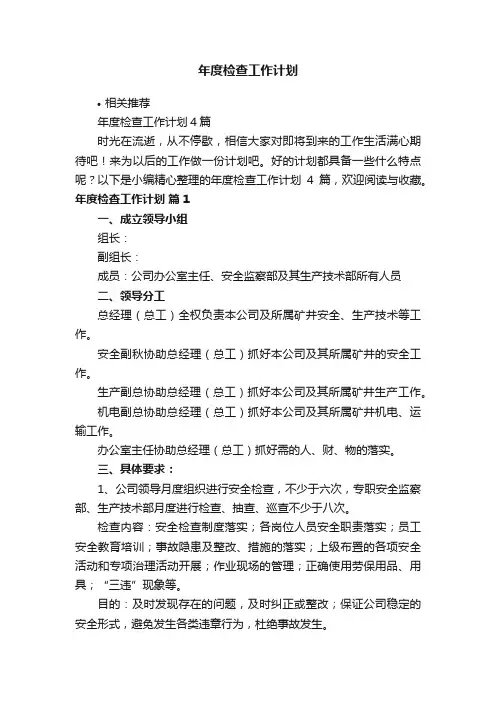 年度检查工作计划